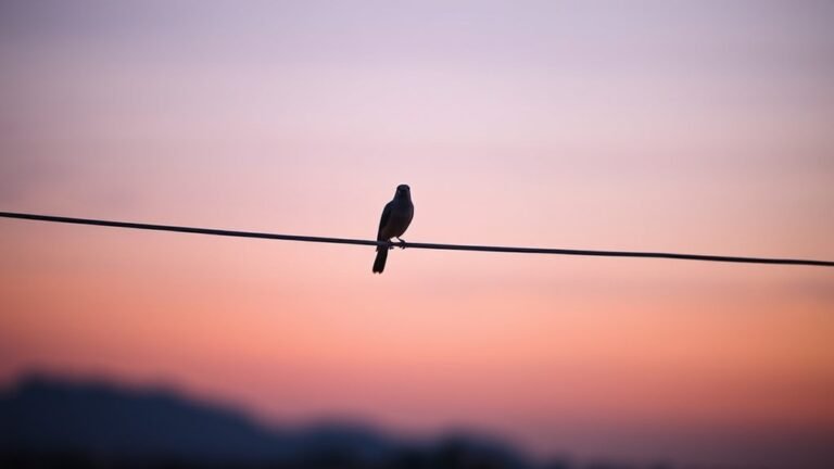 spiritual balance and perspective